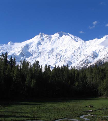 A view of Nanga Parbat (The Killer Mountain) from Fairy Meadows