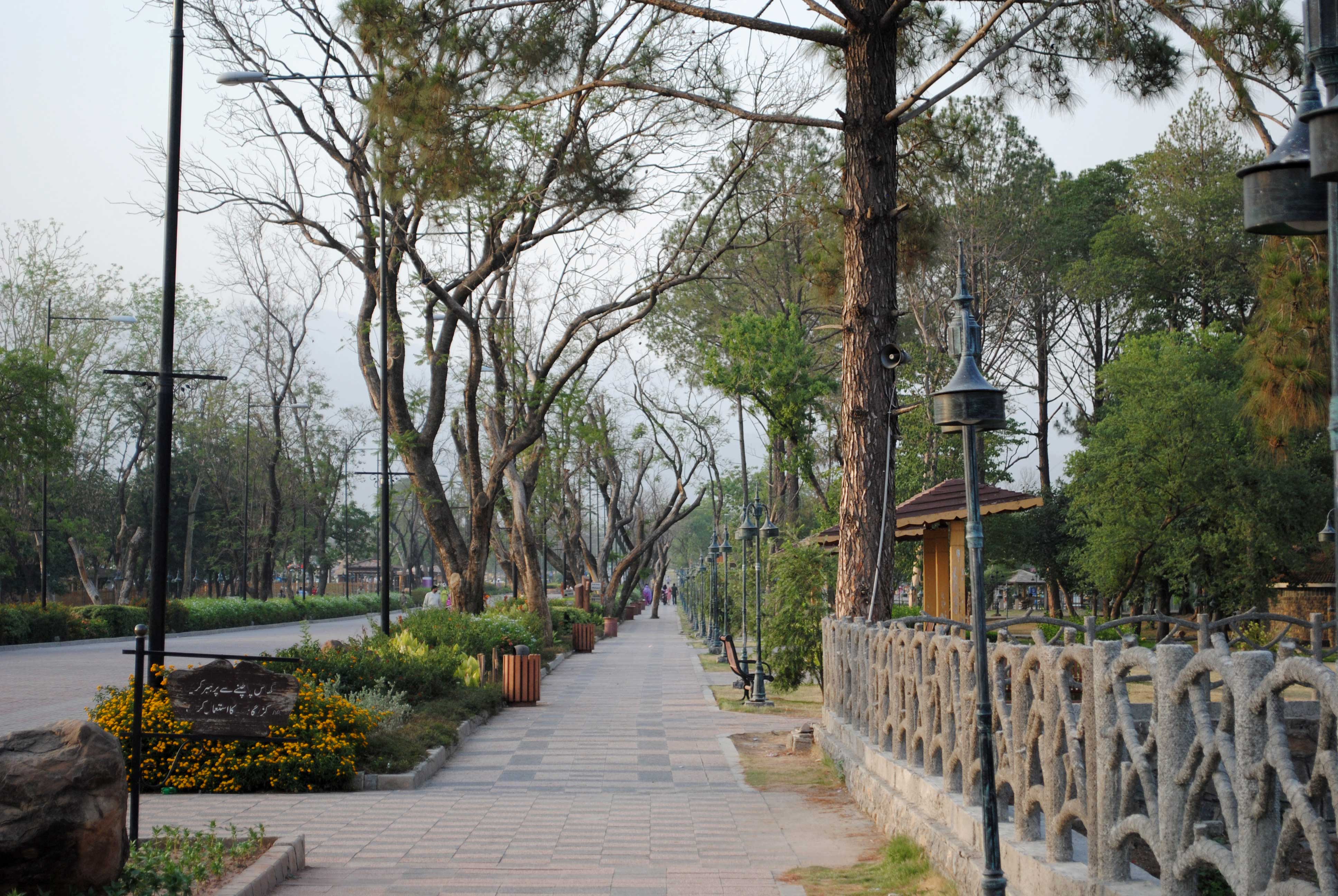 A Footpath in Lake View Park